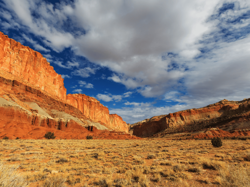 Capitol Reef 