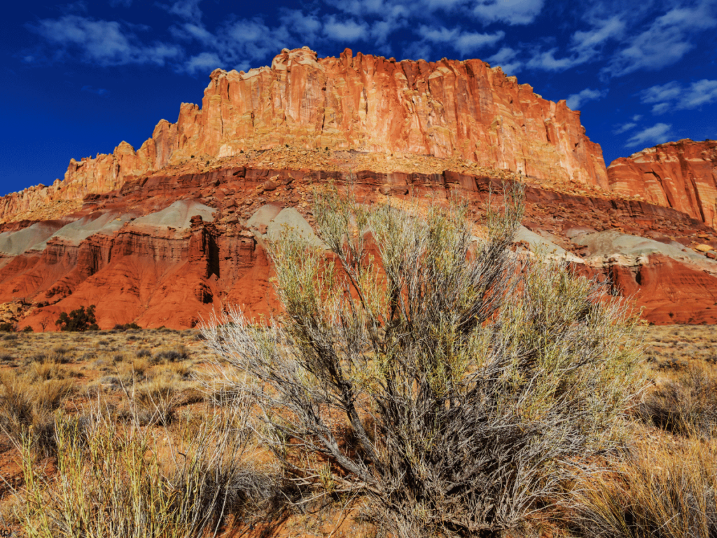 Capitol Reef 