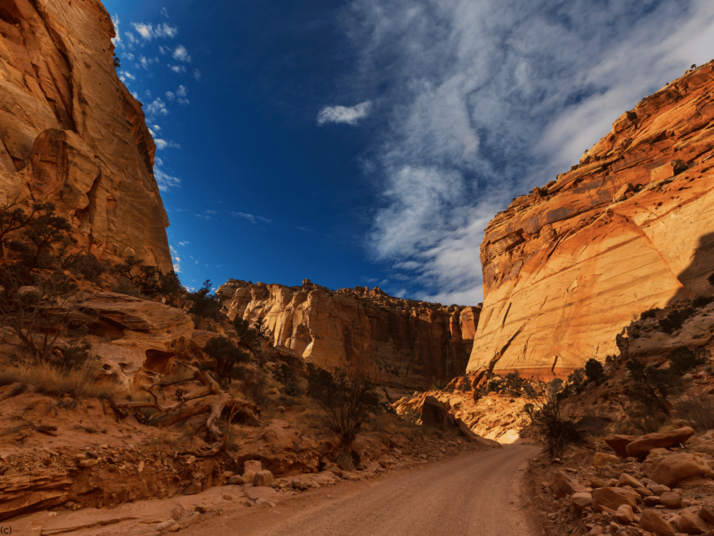 Capitol Reef 