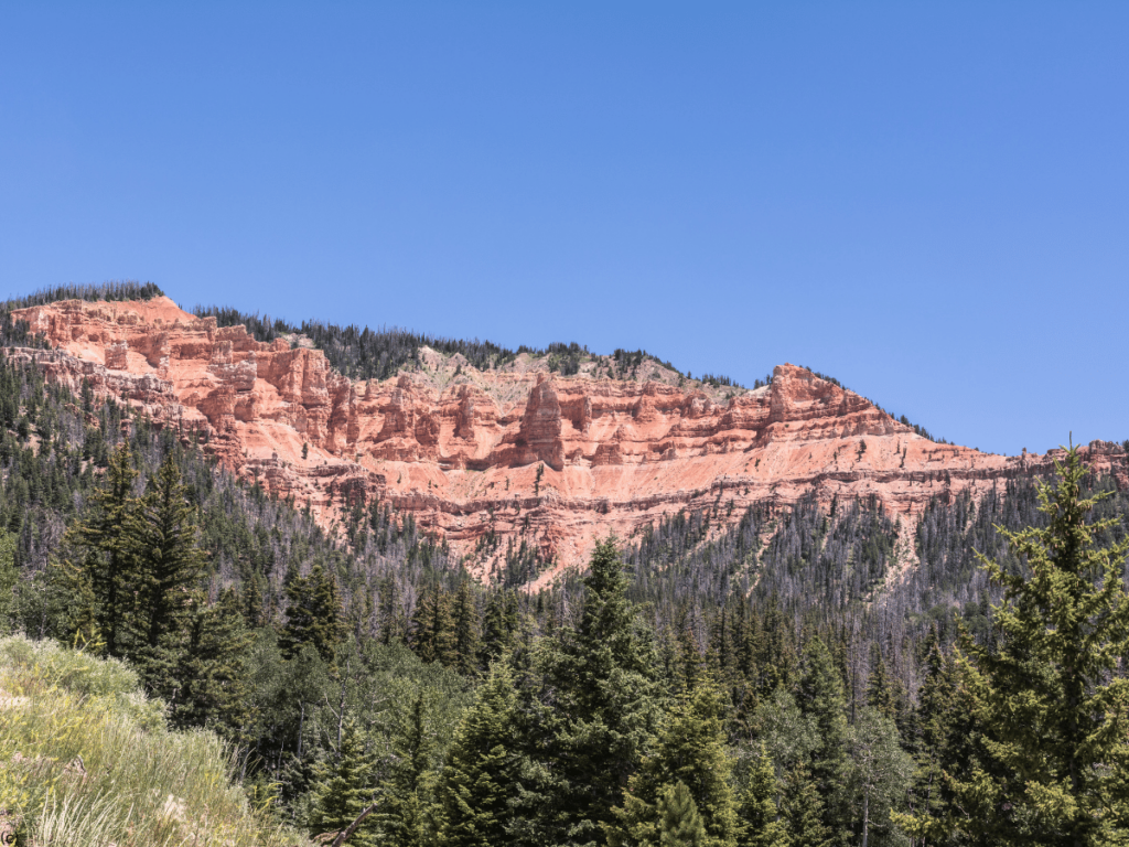 Cedar Breaks 