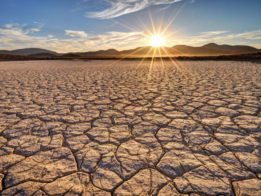 Mojave Desert 