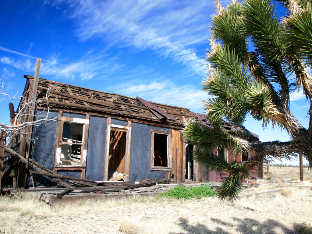 Mojave Desert 