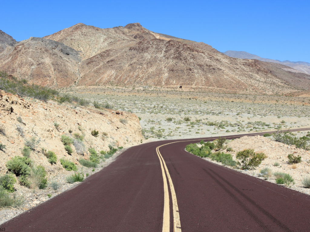 Mojave Desert 