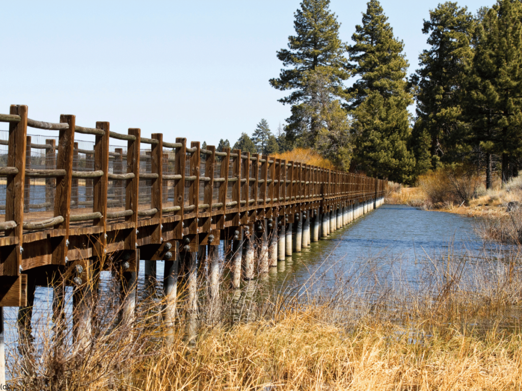 Big Bear Lake 