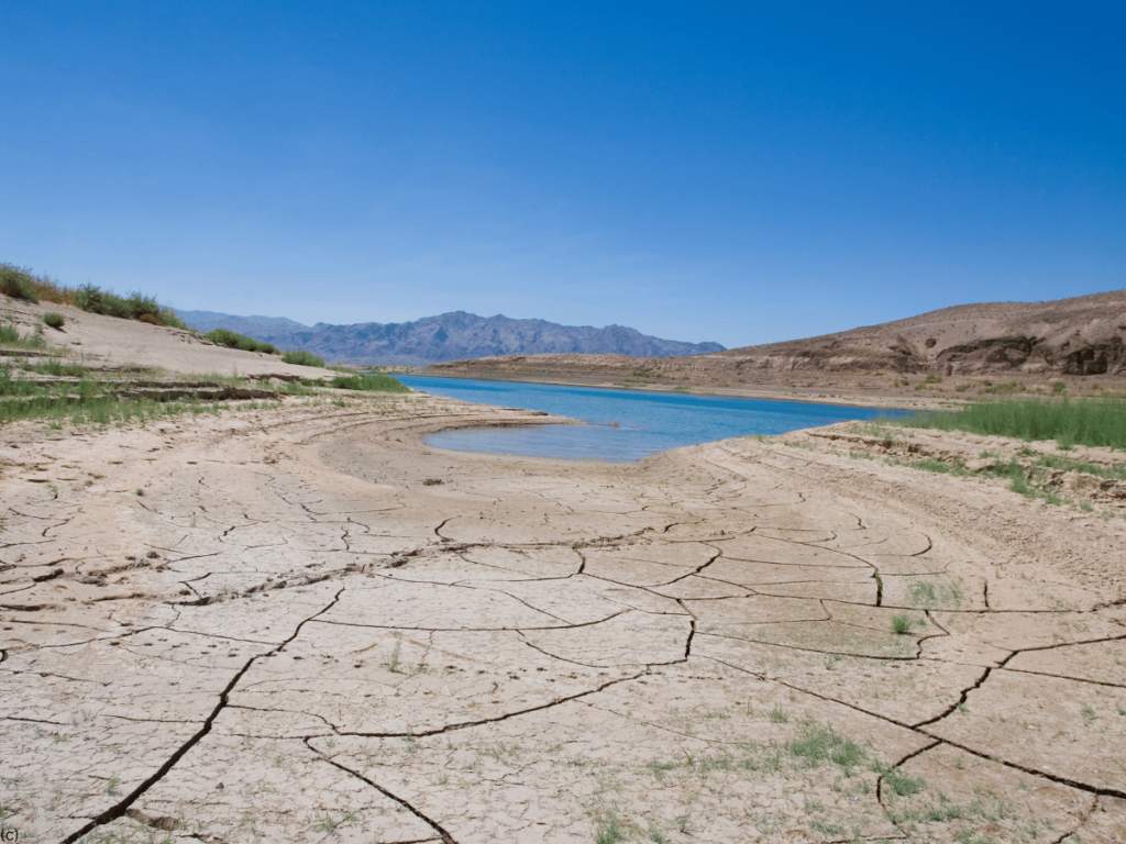 Lake Mead 